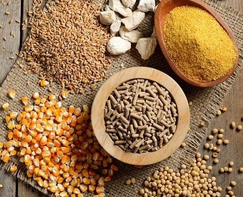 feed-raw-materials-papaak